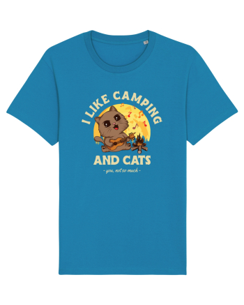 I like camping and cats Azur