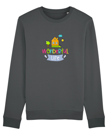 Wonderful Life Anthracite
