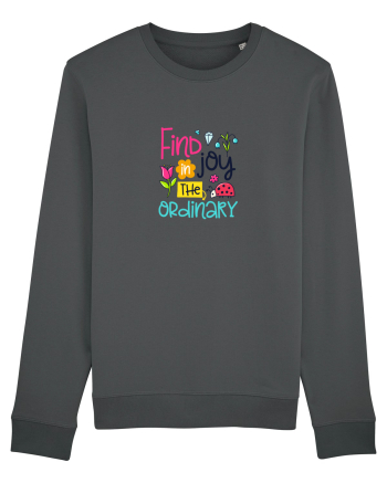 Find the Joy Anthracite