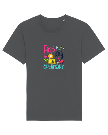 Find the Joy Anthracite