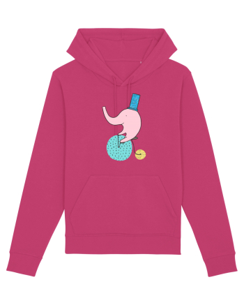 Elefant pe Bicicleta Raspberry