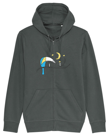 Tucan Anthracite