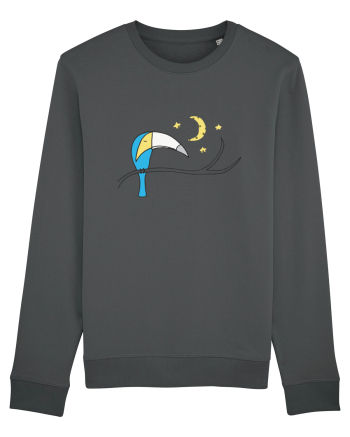 Tucan Anthracite