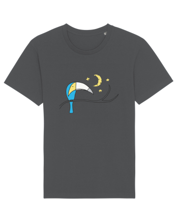 Tucan Anthracite