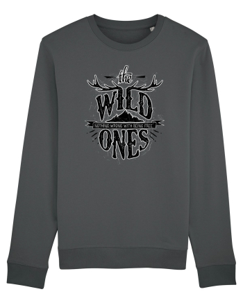 The Wild Ones Munte Anthracite