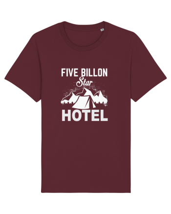 Five Billion Star Hotel Burgundy