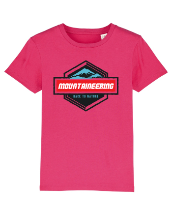 Mountaineering Raspberry