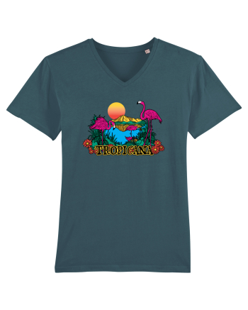 Tropicana Flamingo Sunset Stargazer