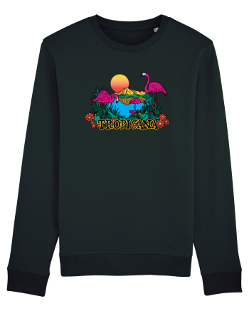 Tropicana Flamingo Sunset Black