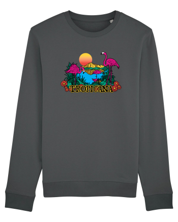 Tropicana Flamingo Sunset Anthracite
