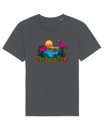 Tropicana Flamingo Sunset Anthracite
