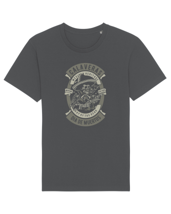 Dia De Muertos Gringo Skull Anthracite