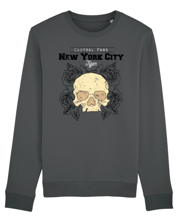 New York City Skull Anthracite