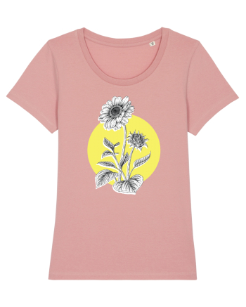 Floarea Soarelui Galben Canyon Pink