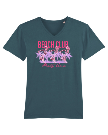 Beach Club Party Flamingo Stargazer