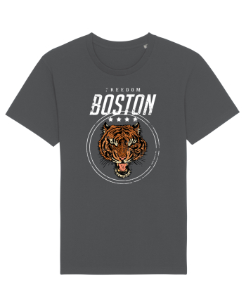 Freedom Boston Tiger Anthracite