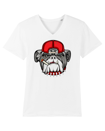 Gangster Bulldog White