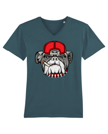 Gangster Bulldog Stargazer