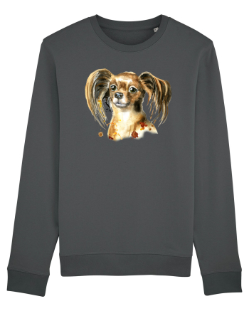 Cute Dog Anthracite