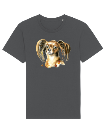 Cute Dog Anthracite
