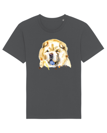 Chow Chow Anthracite