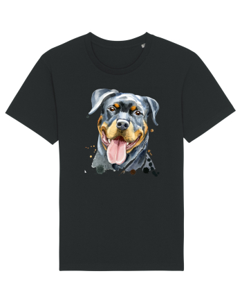 Rottweiler Painting Black