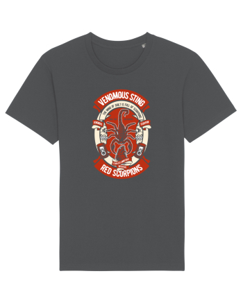 Red Scoprion Anthracite