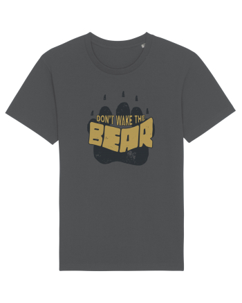 Don't wake the bear Anthracite