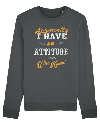 Attitude Puns Anthracite