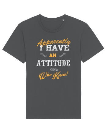 Attitude Puns Anthracite
