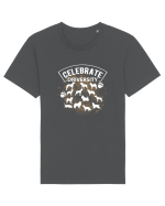 Celebrate Diversity Tricou mânecă scurtă Unisex Rocker