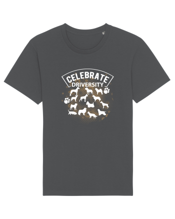 Celebrate Diversity Anthracite