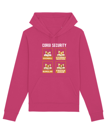 Corgy Security Raspberry