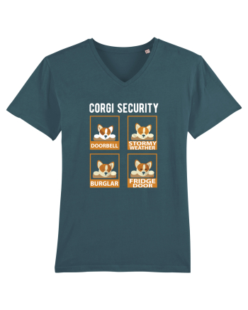 Corgy Security Stargazer