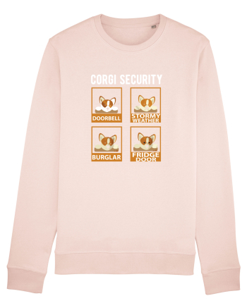 Corgy Security Candy Pink