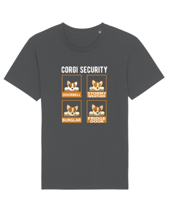 Corgy Security Anthracite