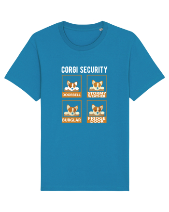 Corgy Security Azur
