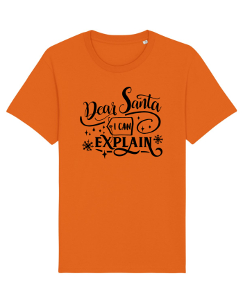 Dear Santa I can explain Bright Orange