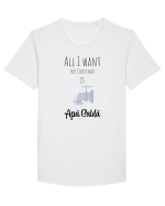 All I want for christmas is apa calda Tricou mânecă scurtă guler larg Bărbat Skater