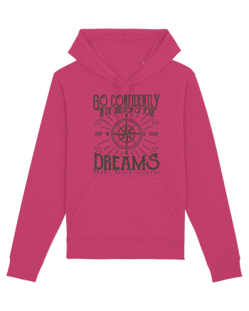 Direction of Your Dreams Raspberry