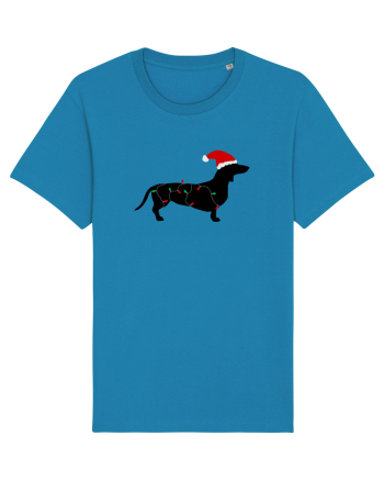Santa Dog Azur