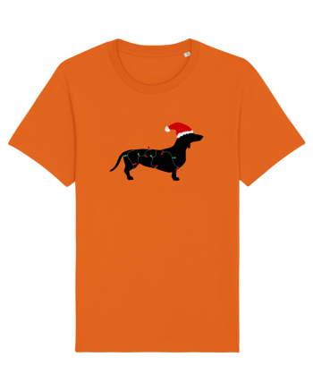 Santa Dog Bright Orange