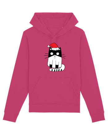 Santa Cat Raspberry