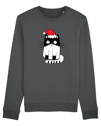 Santa Cat Anthracite