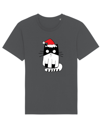 Santa Cat Anthracite