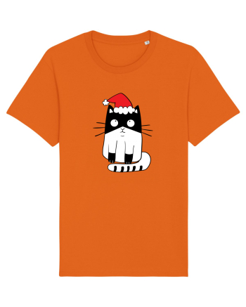 Santa Cat Bright Orange