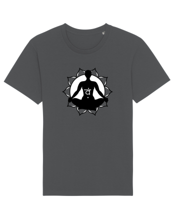 Svadhisthana Anthracite