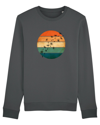 Papadie Anthracite