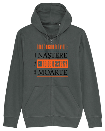Cele 3 etape ale vietii Anthracite