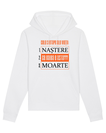 Cele 3 etape ale vietii White